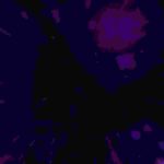 home-2-product-detail-bg